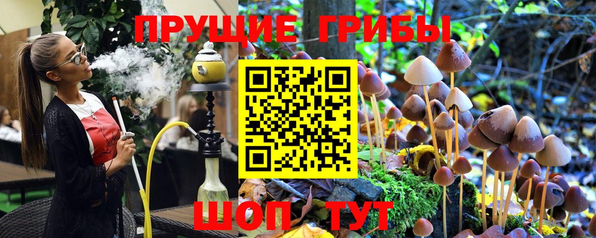 Псилоцибиновые грибы Psilocybine cubensis  Вход с VPN  Лабытнанги 